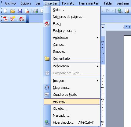 Insertar archivo Office 2003